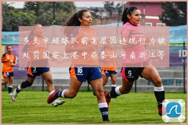 多支中超球队前高层因违规行为被处罚国安上港申花泰山河南浙江等队受影响