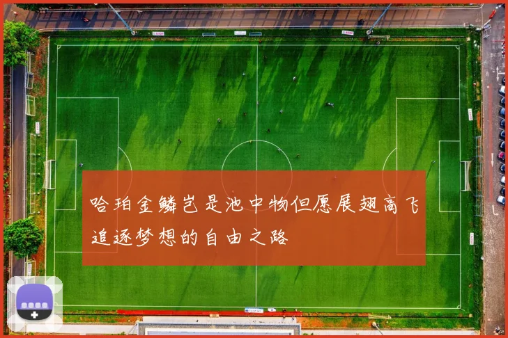 哈珀金鳞岂是池中物但愿展翅高飞追逐梦想的自由之路